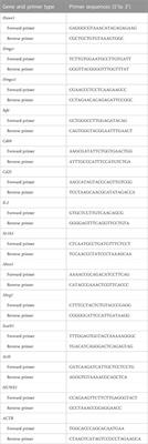 HECT, UBA and WWE domain containing 1 represses cholesterol efflux during CD4+ T cell activation in Sjögren’s syndrome